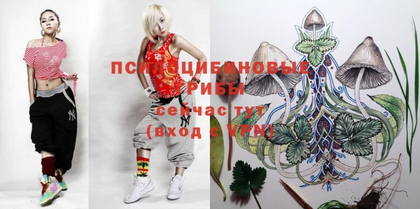 кокаин колумбия Пересвет