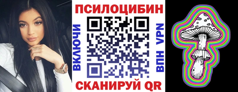 Купить закладки  Ленск  Псилоцибиновые грибы Cubensis 